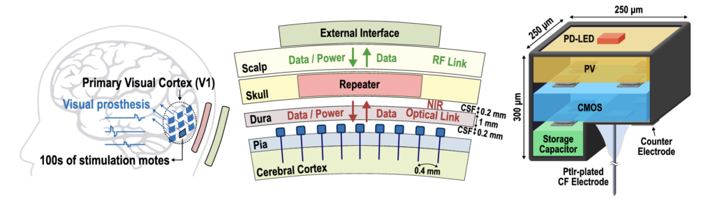 A diagram of the brain with a grid of stimulation motes, next to a zoomed in circuitry diagram of a single mote and a diagram of the mote dimensions.